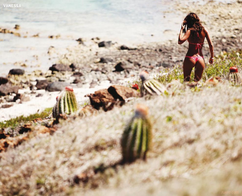 Reef 2012 : ������ ��������� 