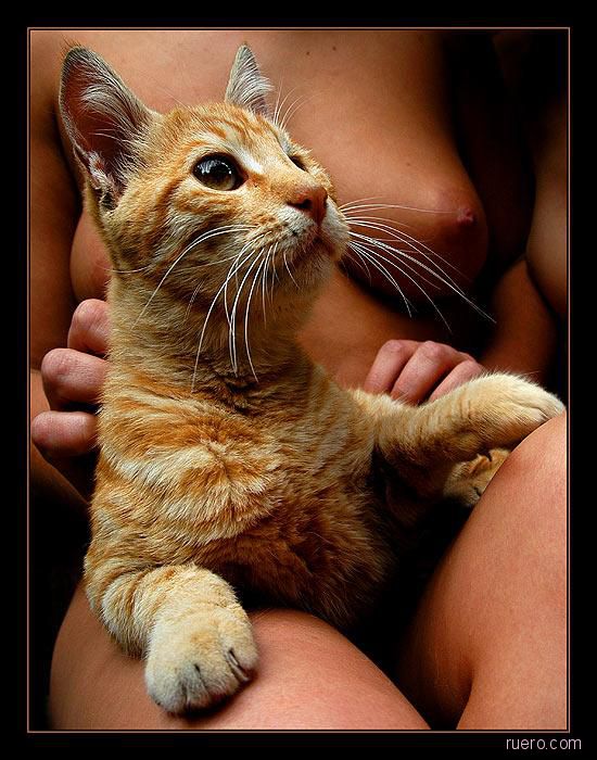 Кошачье положение